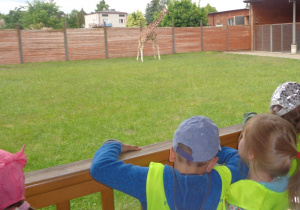 Dzieci obserwują żyrafę